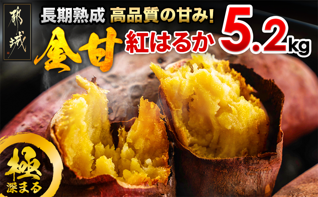 都城ふるさと納税