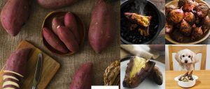 FUKUNOWAショップOPEN記念増量マシマシキャンペーン