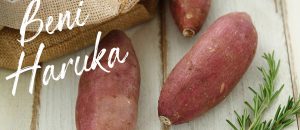 フクノワのさつまいも紅はるか