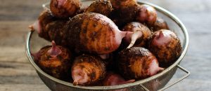 FUKUNOWAの里芋 赤芽芋 セレベス