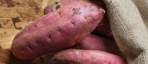 宮崎県産 サツマイモ さつまいも べにはるか