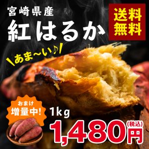 紅はるか　1kg
