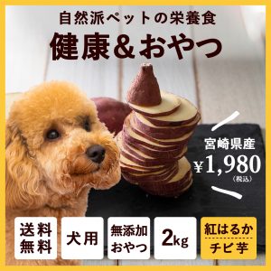 ペットのおやつ　さつまいも　紅はるか 2kg　宮崎県産　熟成サツマイモ　生芋
