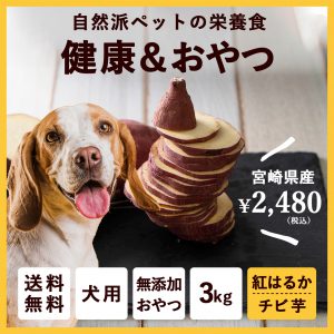 ペットのおやつ　さつまいも　紅はるか 3kg　宮崎県産　熟成サツマイモ　生芋
