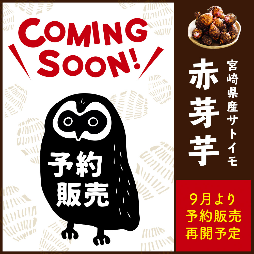 宮崎県産 里芋 赤芽芋20kg① 野菜 