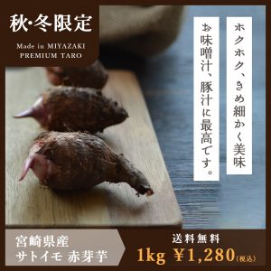 里芋 1kg　宮崎県産　さといも　サトイモ　赤芽芋　セレベス