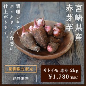 里芋 2kg　宮崎県産　さといも　サトイモ　赤芽芋　セレベス
