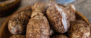 里芋 さといも サトイモ