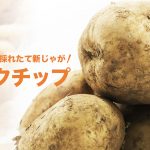 宮崎県都城産 新じゃが オホーツクチップ