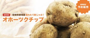 宮崎県都城産　新じゃが　オホーツクチップ