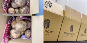 FUKUNOWA（フクノワ）より『新じゃが』の発送が本日より開始となりました