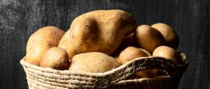 新鮮採れたて『新じゃが』の発送を開始！ 今日もひとつひとつ丁寧に梱包してお届けいたします👍🏻✨ 今期の新じゃがも最高のデキですので、存分にご堪能ください♪ FUKUNOWA（フクノワ）の新じゃがは市場で販売されることは殆どない「オホーツクチップ」という希少品種のじゃがいもです🙌 オホーツクチップはポテトチップスの材料として品集改良され誕生したジャガイモで、ホクホクして甘みがあり、油で揚げても変色しづらい品種です🥔 皮付きフライドポテトやコロッケなど、油を使った料理に抜群に合います！ じゃがバターや炒めものなど、どんな料理にも最高です👍🏻 宮崎県都城市の農家さんが土作りから販売まで、こだわって作った新じゃがです😊 期間限定販売すので、お早目のご購入をおすすめしています🛒