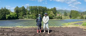 今年も里芋 赤芽芋 セレベスの植え付けを行いました✨ . 写真は4月に行った植え付け風景です😊 . 会長ご夫婦のご協力のもと、昔ながらの方法で、丁寧にしっかりと植え付けが完了しました♪ . 今後も成長の経過をお知らせしていきますのでお楽しみに🙌