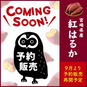 紅はるか9月より予約販売開始