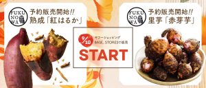 【予約販売開始】長期熟成「紅はるか」＆ランキング1位の里芋「赤芽芋」