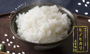 フクノワのお米「フクヒカリ」