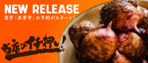 宮崎県産里芋『赤芽芋(セレベス)』の予約販売