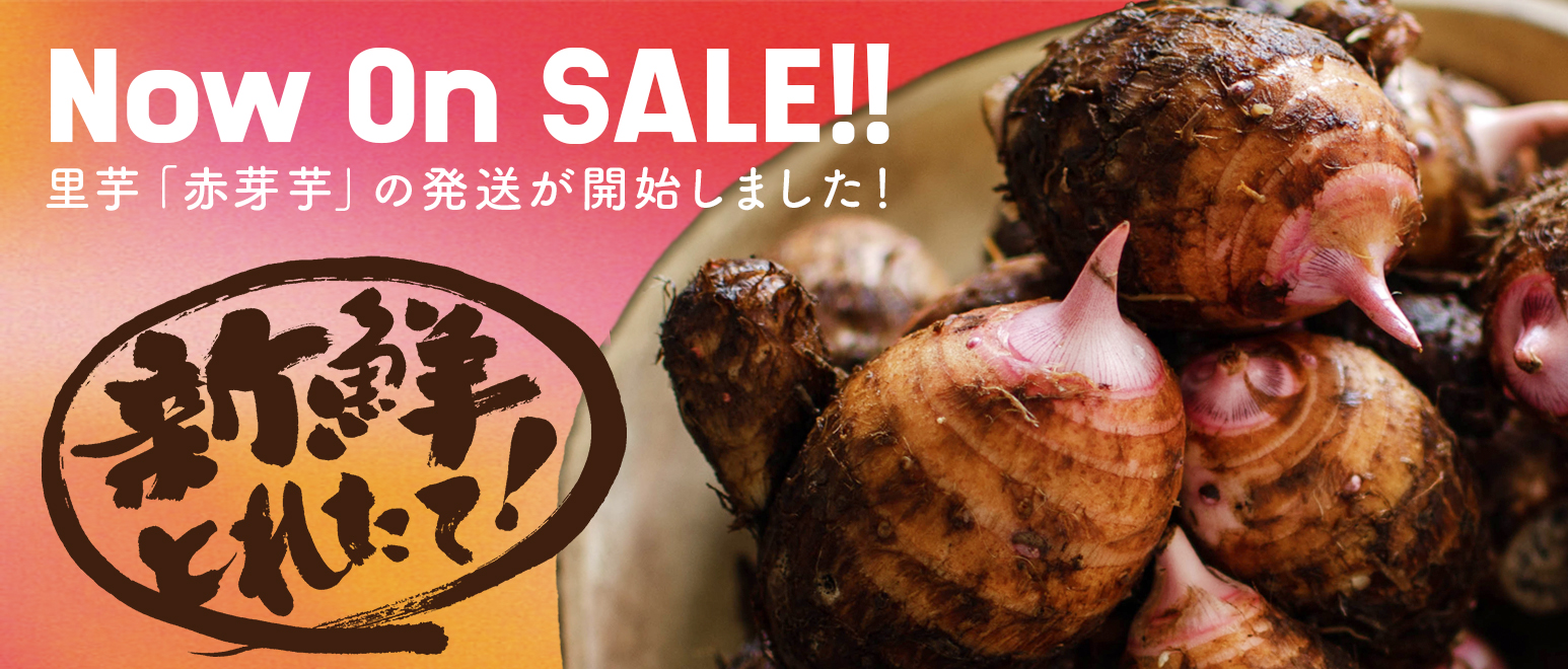 里芋 赤芽芋 セレベスの発送が開始しました Fuku No Wa 公式サイト 福の和を 世界に